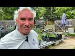 Backyard Garden Update - Growing Strong Despite Setbacks