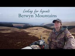 An unusual encounter in the Berwyn Mountains