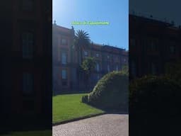 Napoli, Bosco di Capodimonte #travel  #italy