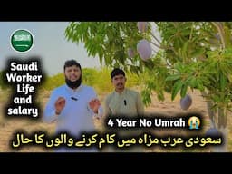 Saudi Arabia Farm Worker Salary and Life |  Advice for New peoples | Saudi visa information