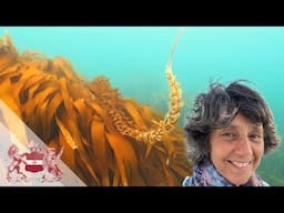 Connecting the Dots to Protect the Ocean | Anna Metaxas