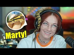 I got a pet snake!