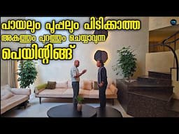 പായലും പൂപ്പലും പിടിക്കാത്ത Interior & Exterior Texture Paints|Decorative Paints|Price|Dr. Interior