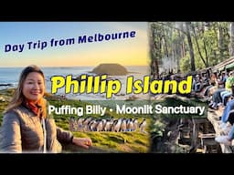 Puffing Billy, Phillip Island, Moonlit Sanctuary I Best Day Trip from Melbourne I Australia Travel