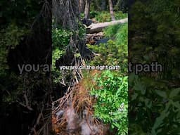 You are on the right path… #shorts #foryou #positivevibes #lifeonthebigrock