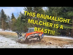 BAUMALIGHT MS960 MULCHER TURNING TREES TO MULCH!