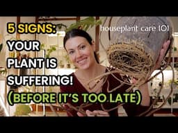 When to Repot Your Plant: 5 Clear Signs It’s Time! (Before It's Too Late) - Houseplant Care 101