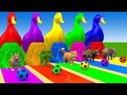 Long Slide Game With Elephant Gorilla Buffalo Hippopotamus Tiger - 3d Animal Game - Funny 3d Animals