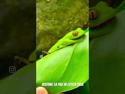 La Paz Tour with Tico Lingo in Costa Rica