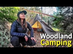 Peaceful Solo Wild Camp in Beautiful Woodland