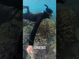 does the Insta360 work well in low underwater visibility?