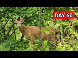 Day 60: Entering Shenandoah National Park