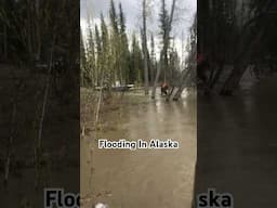 Flooding In Alaska #enigmaticgwichin #alaskanative #alaska #river #flood #shorts