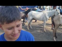 Caballos y Potrancas en San Miguel El Salvador 20/04/2025