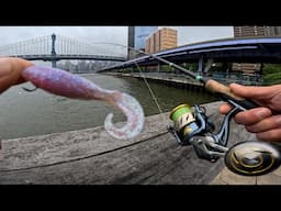 East River Fishing Manhattan NYC Lures and Bait