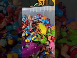 MOTU Madness!!