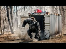 Watch These Animals Being Freed For The First Time
