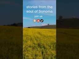 SoSonoma Coming July…