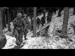 American Anti-Aircraft Guns Amazingly Shot Down 54 German Planes.(Ep.21)