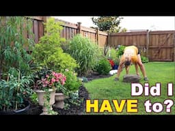 Flowerbed Expansion & Drip Irrigation Made Easy | My Carolina Garden
