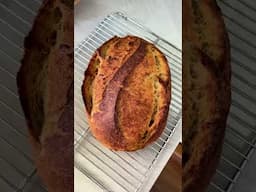 Fresh milled khorasan flour hybrid loaf. Fun! #ancientgrains #wholegrains