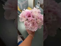 watch how fast these bloom omg #peonies #traderjoes