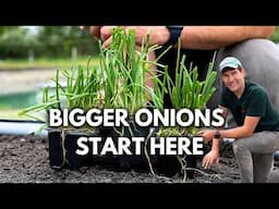 I Was Called Crazy Stupid and INSANE For Planting My Onions This Way! (And why you should too)