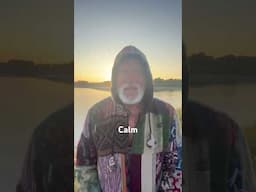 I only Seek Calm