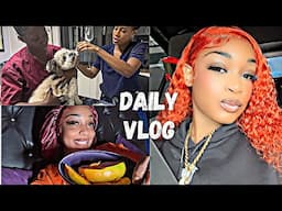 DAILY VLOG- Puppy Got Poisoned + Mango Season + SHEIN Vacation Haul + Bought Fenty Beauty Products