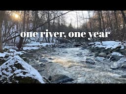 1 year in 10 minutes, Alna river, Norway / Meditative, calm nature scenes / Vivaldi / ASMR
