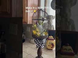 Happy Thursday 🌿🐓#davedalanecreates #music #newmusic #hiphop #song