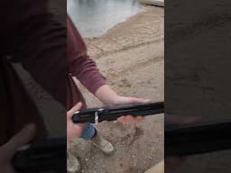 How many pellets can be shot at one time? #airgunning #airgun #gun #hunting #shooting #shorts