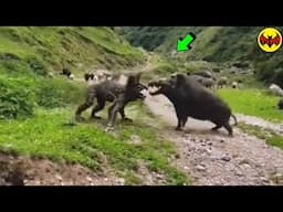 Unexplained Attack on a Trail in Nepal