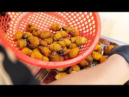 GIANT COCONUT WORMS Vietnamese Street Food