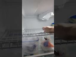 Extra Refrigerator Shelf Useing Wire Shelving #diy