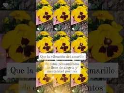 ¡Llenate de energía positiva! ✨✨✨✨
