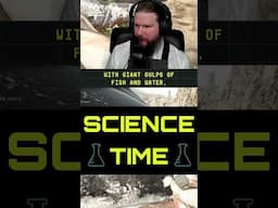 Kyle gives us a short lesson on whales! - Kyle Hill Science Time