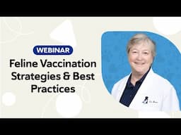 Feline Vaccination Strategies & Best Practices Webinar | Expert Insights for Optimal Cat Health