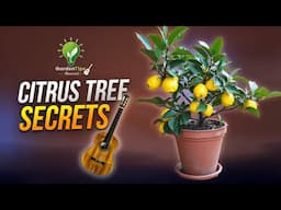 CITRUS TREE SECRETS – GARDEN TIPS MUSICAL | HOW TO GROW LEMON TREE IN POTS