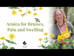 Arnica for Bruises, Pain and Swelling