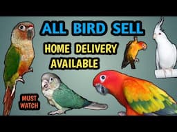 Sun Conure, Cockatiel And Green Cheeked Parakeet Sell | @abbirdsanddoglovers2398  |