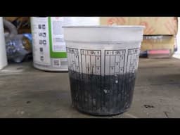 Prepara antes de pintar, tu auto