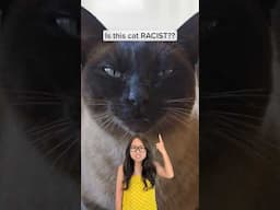 Siamese cat colouration!