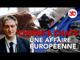 Le bien-être des 🐶 & des 🐱 : une affaire EUROPÉENNE 🇪🇺