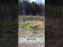 Pond improvements! #skidsteer #landclearing #ponds #awgoutdoors #landpreparation  #outdoorequipment