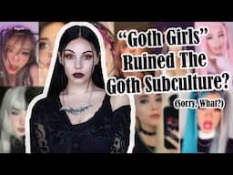 Stop Spreading Lies About Goth For Rage Bait