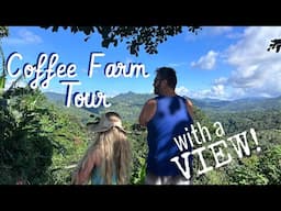 SANDRA FARMS COFFEE 🇵🇷 The most beautiful coffee farm tour in Puerto Rico!