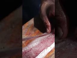 The Sounds of a Northern Ontario Shorelunch