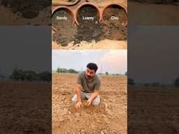 Earn 15 lakh in 90 days - join me on my rainy season vegetables farming journey