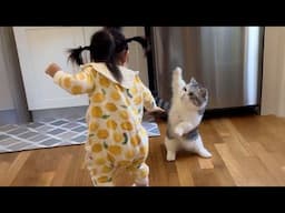 Funny Dogs And Cats Videos 2025 😅 - Best Funniest Animal Videos Of The week